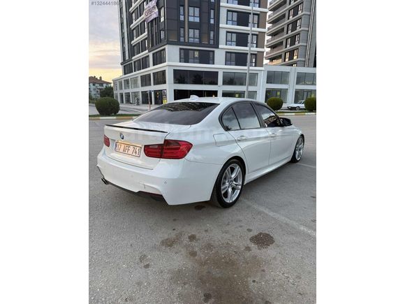 BEYAZ GELİNCİK