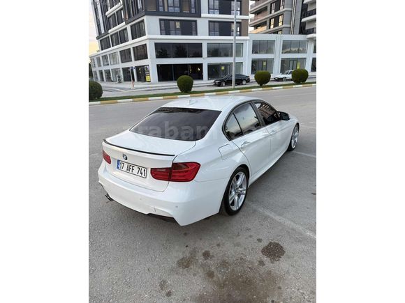 BEYAZ GELİNCİK
