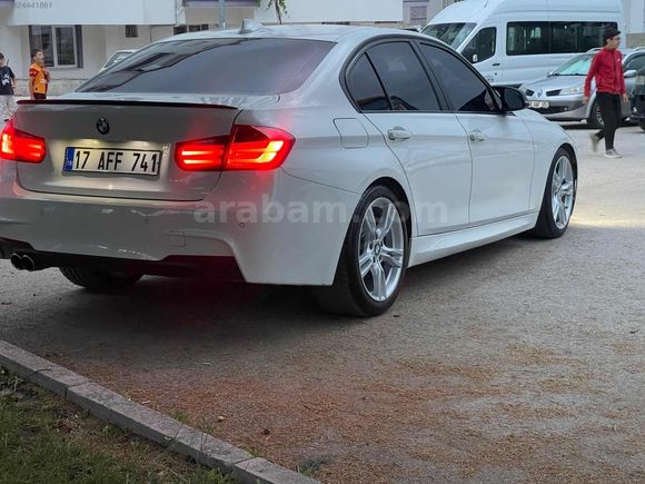 BEYAZ GELİNCİK