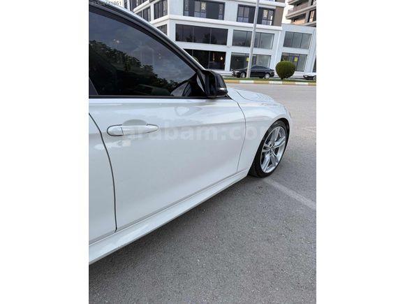 BEYAZ GELİNCİK