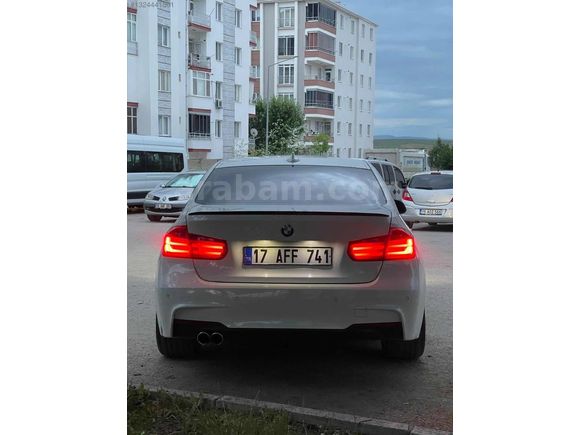 BEYAZ GELİNCİK