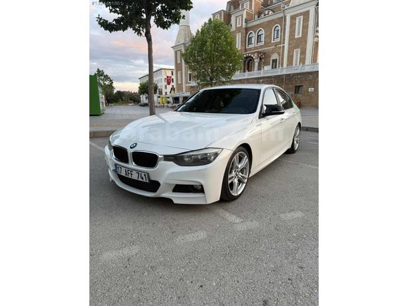 BEYAZ GELİNCİK