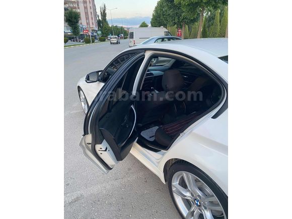 BEYAZ GELİNCİK