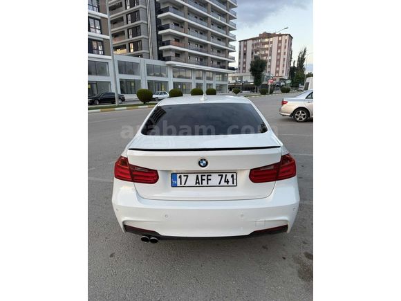 BEYAZ GELİNCİK
