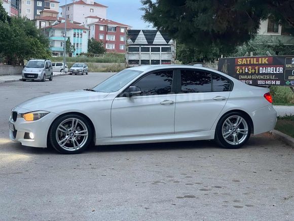 BEYAZ GELİNCİK