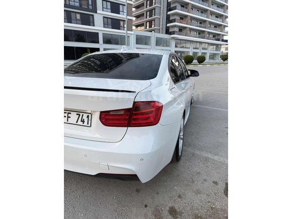 BEYAZ GELİNCİK