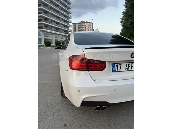 BEYAZ GELİNCİK