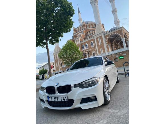 BEYAZ GELİNCİK