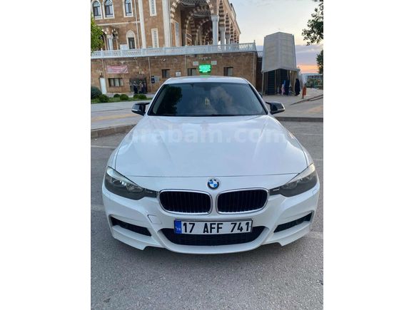 BEYAZ GELİNCİK
