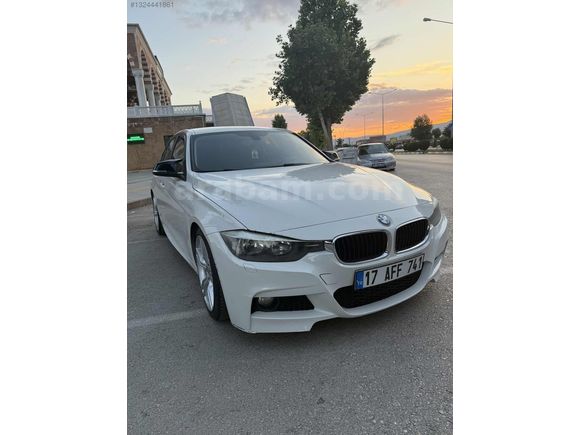 BEYAZ GELİNCİK