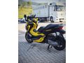 TR' DE TEK BUMBLEBEE NSS 250