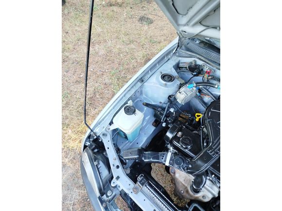 1999 TOYOTA COROLLA l