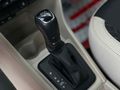 Sahibinden Skoda Rapid 1.4 TDI GreenTec Style 2017 Model 