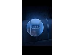 orjinal audi küllük
