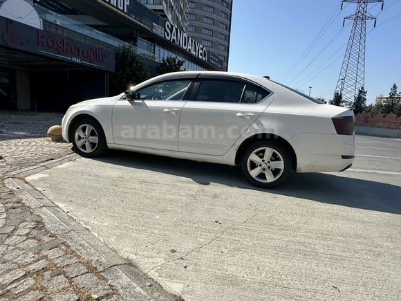 DOKTORDAN  Skoda Octavia 1.6 TDI Optimal 2016 Model 