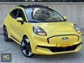 HATASIZ TADINDA CAM TAVAN LANSMAN RENK PUMA-E