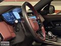 BARAN MOTORS 2023 RANGE SPORT D300 SE DYNAMIC BOYASIZ