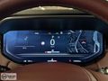 BARAN MOTORS 2023 RANGE SPORT D300 SE DYNAMIC BOYASIZ