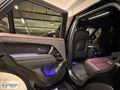 BARAN MOTORS 2023 RANGE SPORT D300 SE DYNAMIC BOYASIZ