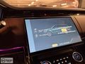 BARAN MOTORS 2023 RANGE SPORT D300 SE DYNAMIC BOYASIZ