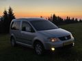 VİOLİN'DEN CADDY KOMBİ LİFE