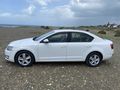 Sahibinden Skoda Octavia 1.6 TDI Optimal 2014 Model 