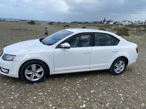 Sahibinden Skoda Octavia 1.6 TDI Optimal 2014 Model 