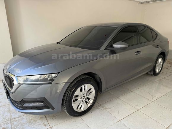 Sahibinden Skoda Octavia 1.0 e-Tec Elite 2023 Model 