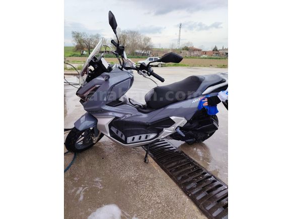 arora beatrix