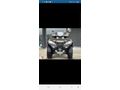 Sahibinden CFMoto C Force 1000 Overland İstanbul