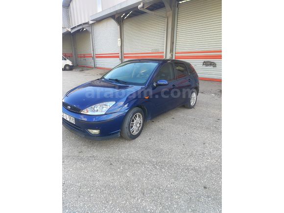TEMİZ BAKIMLI DİRİ FOCUS 1