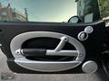 DEĞİŞENSİZ CAM TAVAN MİNİ COOPER