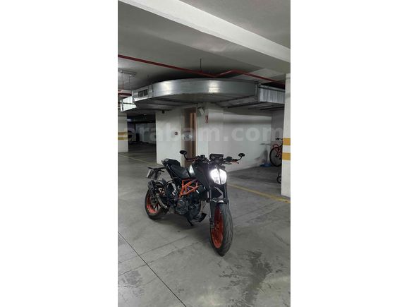 Turuncunun en güzel tonu 