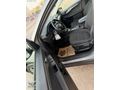 BNC GRUP AUTO FARKIYLA FORD KUGA 1.5 ECO BOOST TİTANİUM