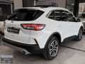 2023 FORD KUGA TİTANİUM 1.5 EcoBoost 182hp CAM TAVAN BOYASIZ