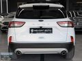 2023 FORD KUGA TİTANİUM 1.5 EcoBoost 182hp CAM TAVAN BOYASIZ