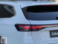 2024 PASSAT 1.5 e-TSI R LINE BOYASIZ DEĞİŞENSİZ SERVİS BAKIMLI