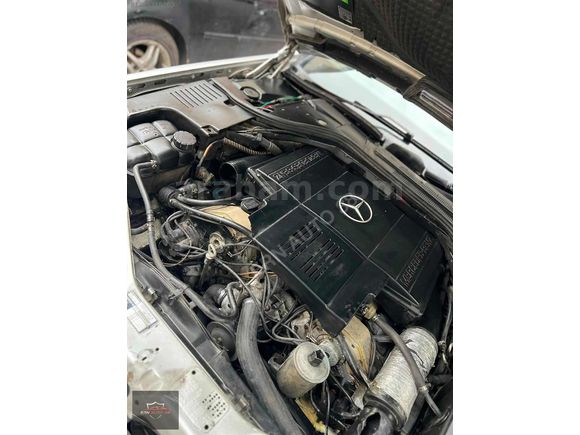 DOLU DOLU S500 W140