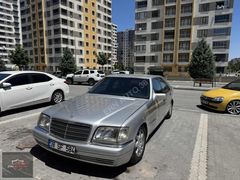 DOLU DOLU S500 W140