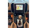 ÖZSAĞLAM'dan 2011 Porsche Cayenne 3.0 Diesel Hatasız *06AGA034*