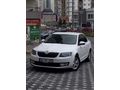 Sahibinden Skoda Octavia 1.6 TDI Optimal 2016 Model 