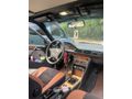 TERTEMİZ MASRAFSIZ W124