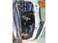 Galeriden Ford Trucks Transit 12Aydın