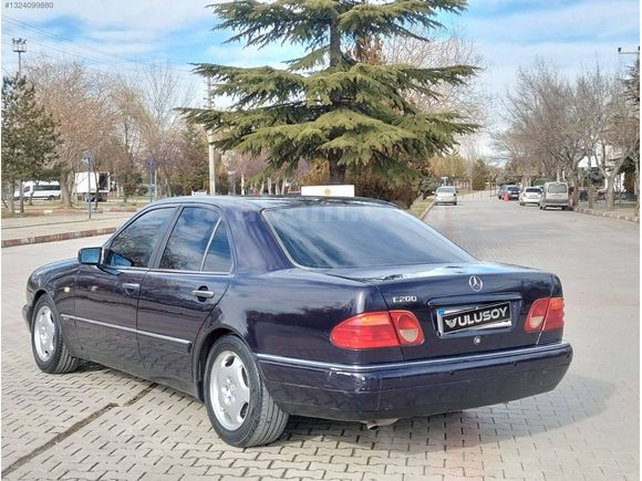 DEĞİŞENSİZ BİBLO E200 AVANGART KENDİNİ ÖZEL HİSSEDENE