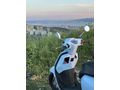 2026 Model Mondial Exon 50 – Temiz ve Sorunsuz