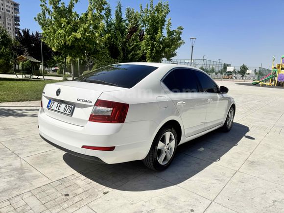 Sahibinden Skoda Octavia 1.6 TDI Optimal 2016 Model 
