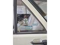 Sahibinden Fiat Tipo 1.6 S 1994 Model