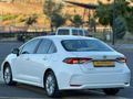 DİCLE PLUS AUTO'DAN KAZASIZ