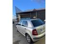 Tertemiz  fabia 