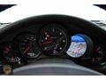 SÖĞÜT AUTO Panamera 3.0 D Tiptronic